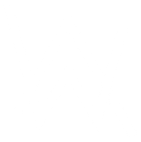 ALAN WALKER | STORE